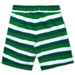 GREEN-STRIPE-SHORT—KNIT—MIX-BLEND—PKR-1500