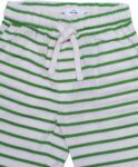 Green and White Stripe Short